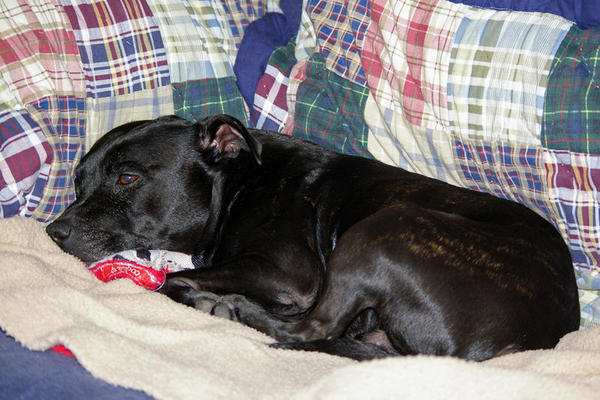 Lazy boy