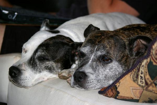 Kelly and Betty
