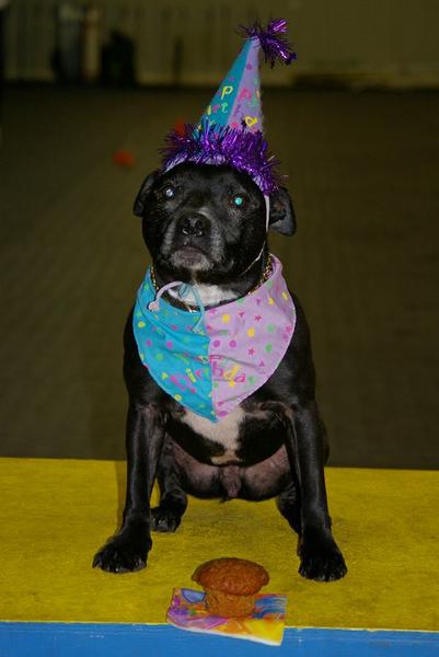 Gus's Tenth birthday,July 2,2011