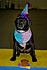 Gus's Tenth birthday,July 2,2011