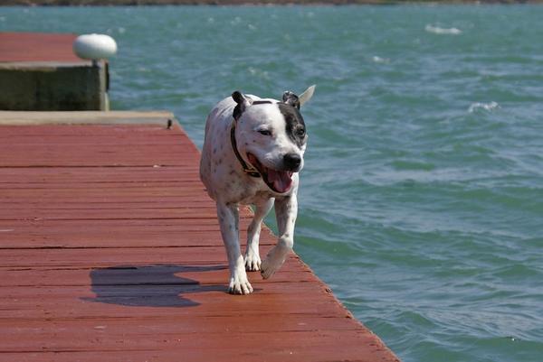 Kelly on the pier