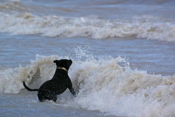 Tackling a wave