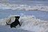 Tackling a wave