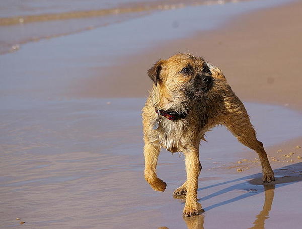 Maybel-first beach trip!