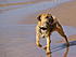 Maybel-first beach trip!
