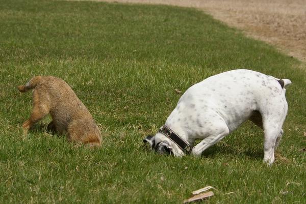 What are they doing!?
