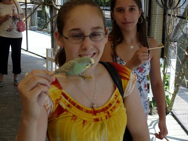 My little bird friend in the new bird enclosure. I was photo-bombed...