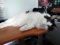 Mario on my desk.