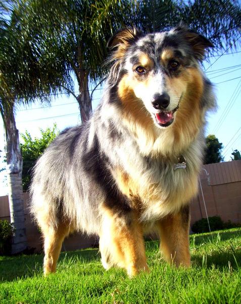 Sunny California girl