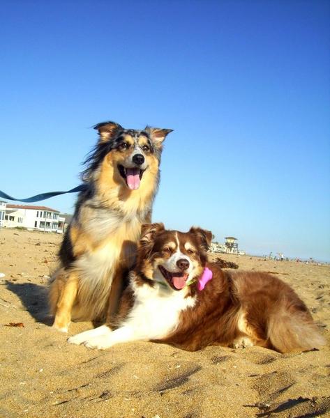 On the beach