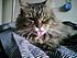 Fancy March 04 2008