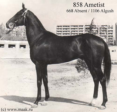 858ametist