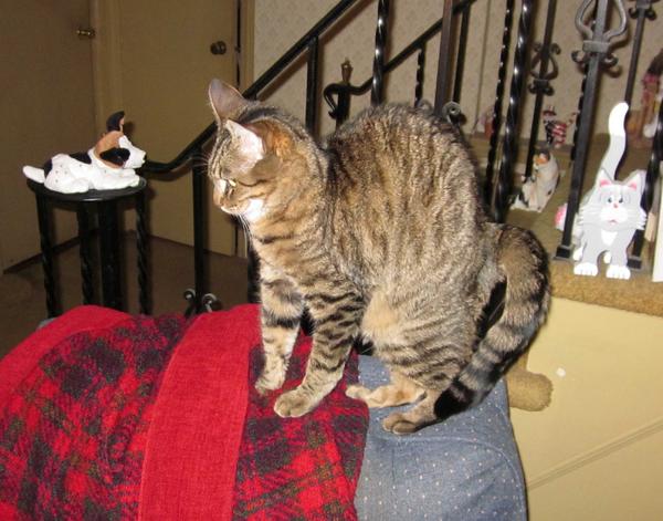 stretch