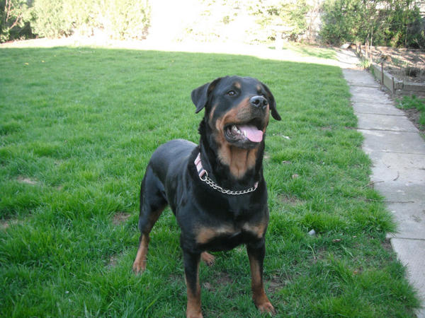 Dora <3

2011