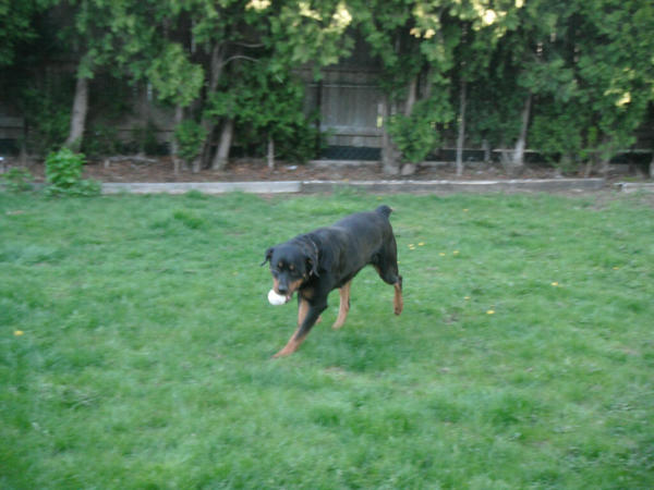 Dora <3

2011
