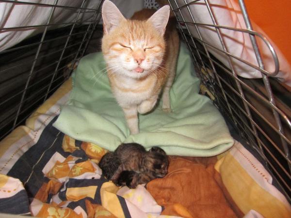 1 day old