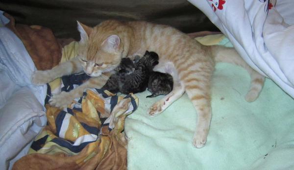 2 day old