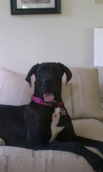 My big girl :)