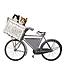 kitties in bike