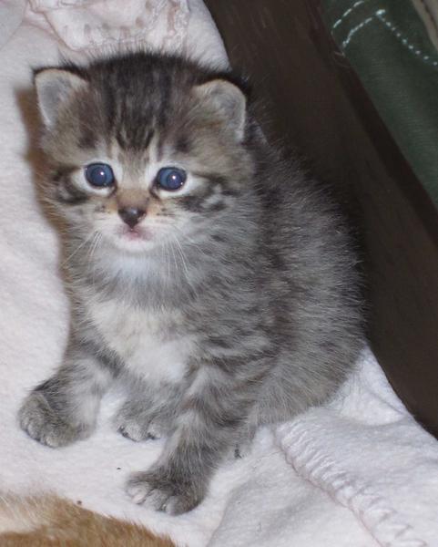 15 day old 2
