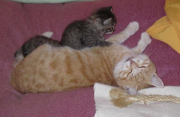 Playing with mom