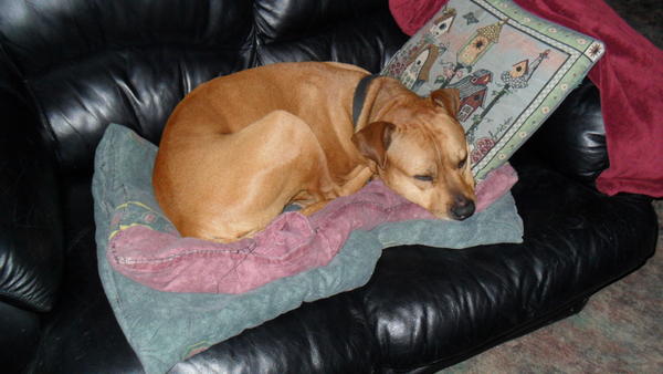 napping G
anyplace soft