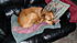napping G 
anyplace soft