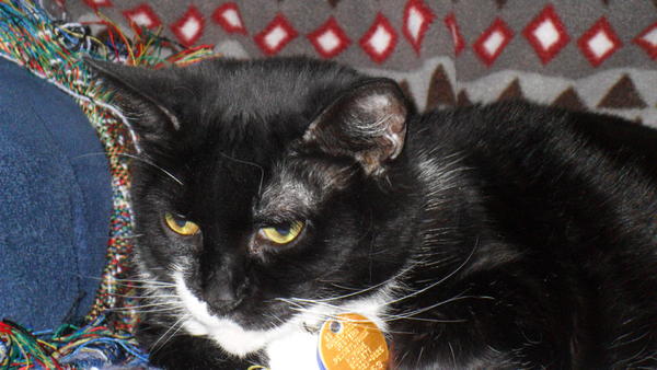 Ryo...
I'm queen of the house... obey me!