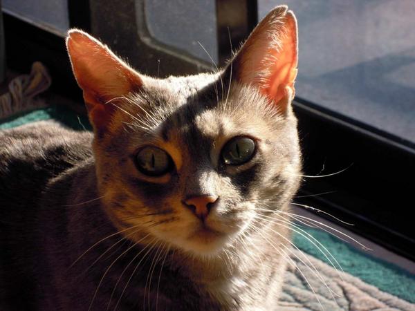 Eve Nov 2011 1