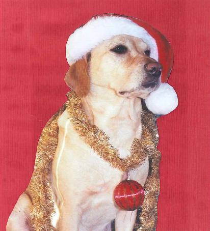 casey christmas