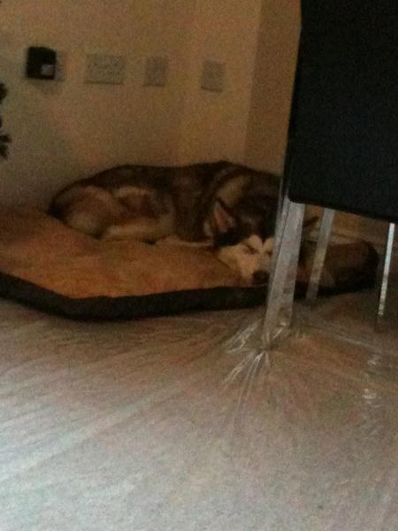 Asleep on her bed.
