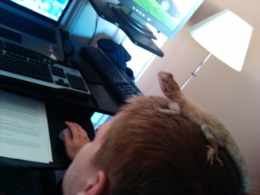 Sorin helping Kevin play games on the computer.
