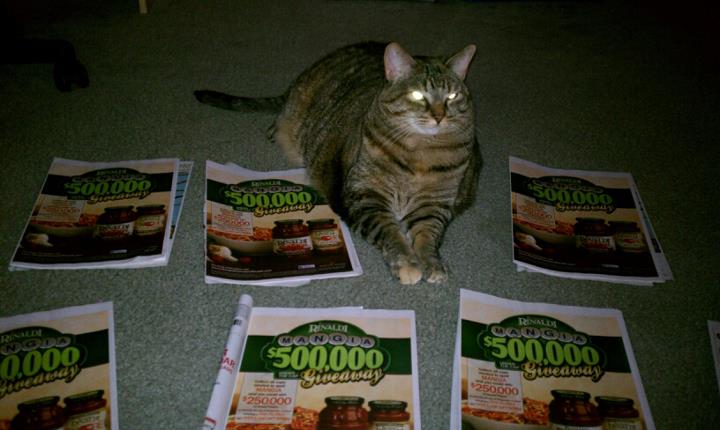 snickers couponing with me