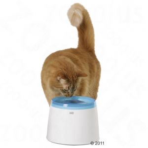 Name:  catit.jpg
Views: 972
Size:  7.1 KB