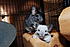 Click image for larger version. 

Name:	DSC_6017.jpg 
Views:	350 
Size:	629.7 KB 
ID:	52342