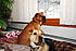 Click image for larger version. 

Name:	DSC_6123.jpg 
Views:	362 
Size:	597.8 KB 
ID:	52343