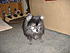 Click image for larger version. 

Name:	Misc 2012010.JPG 
Views:	143 
Size:	938.1 KB 
ID:	52354