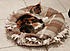 Click image for larger version. 

Name:	mandje5.jpg 
Views:	51 
Size:	51.1 KB 
ID:	52448