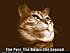Click image for larger version. 

Name:	funny-pictures-the-purr-the-meow-the-legend.jpg 
Views:	153 
Size:	27.9 KB 
ID:	52453