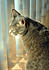 Click image for larger version. 

Name:	Eve best Feb 4 2012.JPG 
Views:	85 
Size:	347.5 KB 
ID:	52497