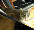 Click image for larger version. 

Name:	Eve 9 Feb 4 2012.JPG 
Views:	85 
Size:	391.8 KB 
ID:	52500