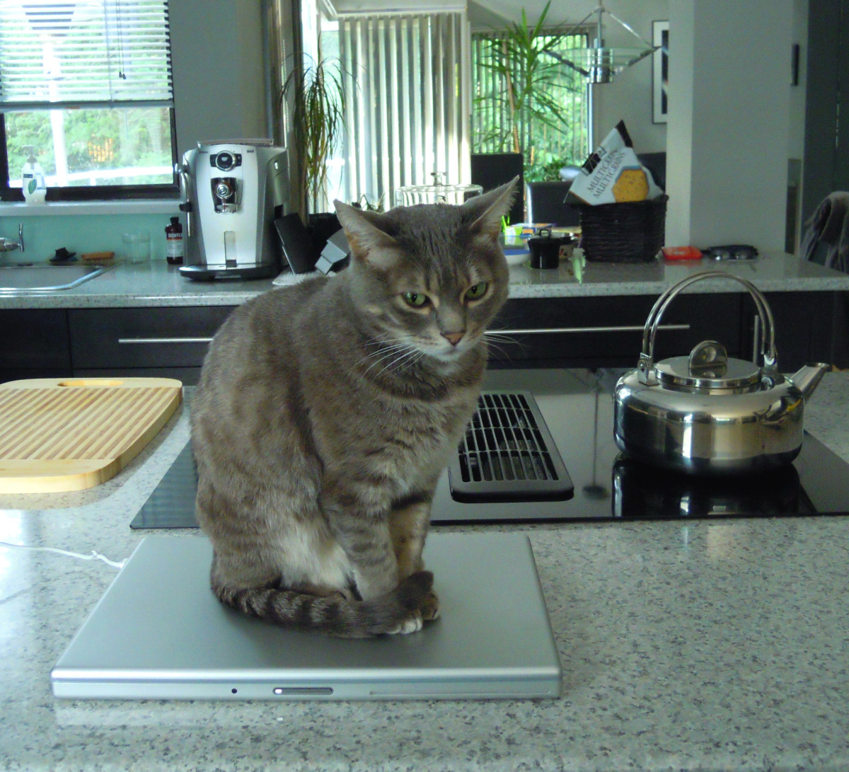 Eve on laptop 1 Feb 5 2012