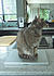 Click image for larger version. 

Name:	Eve on laptop 2 Feb 5 2012.JPG 
Views:	122 
Size:	349.1 KB 
ID:	52538