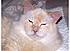Click image for larger version. 

Name:	Beavis1.jpg 
Views:	84 
Size:	37.6 KB 
ID:	52623