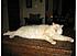 Click image for larger version. 

Name:	Beavis3.jpg 
Views:	80 
Size:	36.0 KB 
ID:	52625