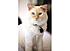 Click image for larger version. 

Name:	Beavis4.jpg 
Views:	71 
Size:	19.9 KB 
ID:	52626