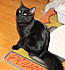 Click image for larger version. 

Name:	IMG_1647-1.JPG 
Views:	97 
Size:	1.43 MB 
ID:	52644