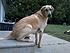 Click image for larger version. 

Name:	silas4.jpg 
Views:	109 
Size:	37.0 KB 
ID:	52652