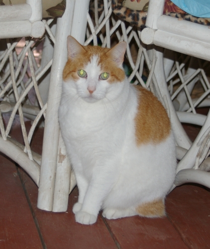 Name:  IMGP2174_Buddy.jpg
Views: 62
Size:  145.5 KB