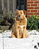 Click image for larger version. 

Name:	IMG_5243.JPG 
Views:	82 
Size:	437.0 KB 
ID:	52673